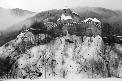 Trees and buildings against sky during winter