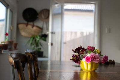 Close-up of potted plant