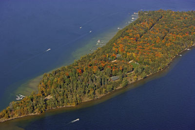 High angle view of trees by sea against sky