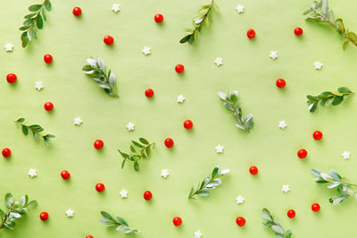High angle view of candies in plate