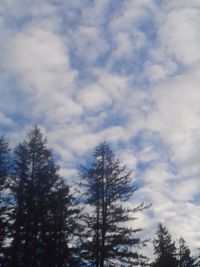 Low angle view of trees against cloudy sky