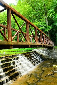 Scenic view of river flowing through forest