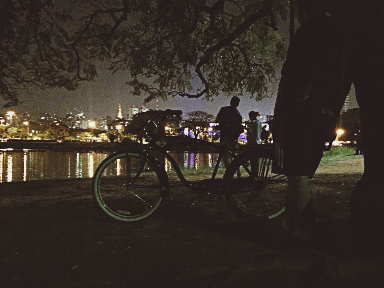 tree, bicycle, water, transportation, river, railing, men, lifestyles, mode of transport, leisure activity, built structure, city, reflection, architecture, lake, branch, bridge - man made structure, night