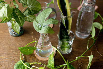 Close-up of vegetables in glass on table