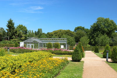 View of flowering plants in garden