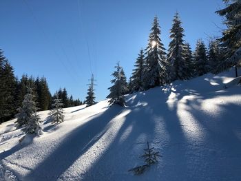 Low angle view of trees on snow covered mountain against clear blue sky