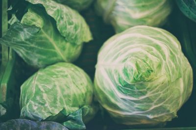 Close-up of vegetables