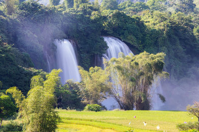 Scenic view of waterfall