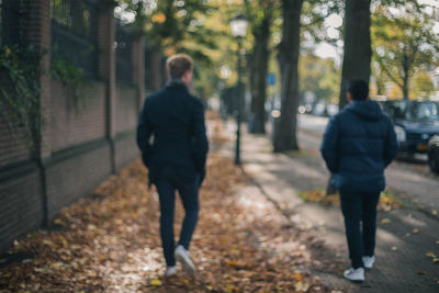 Rear view of man walking in park