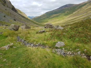 Scenic view of green landscape against sky