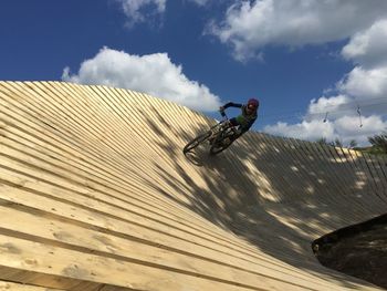 Man riding horse cart against sky