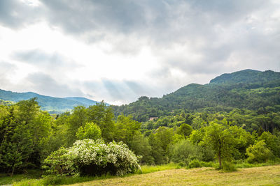 Natural landscape with green mountain peaks in summer