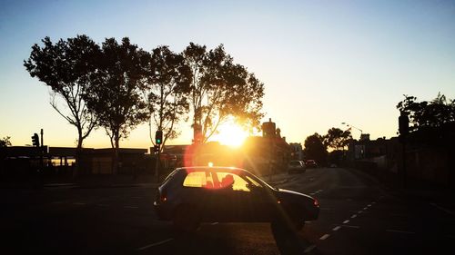 Sun shining through trees