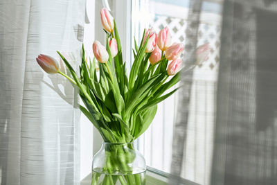 Bouquet of beautiful spring pink tulips in a vase on a windowsill on a sunny day