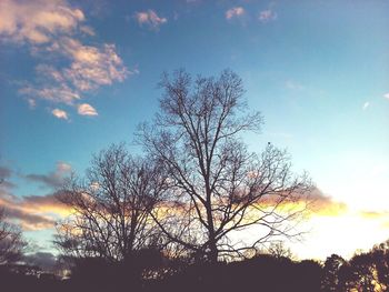 Silhouette tree against sky during sunset