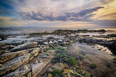 Scenic view of sea at sunset