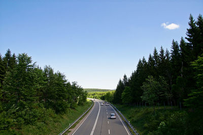 Cars on road amidst trees against sky
