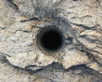 Close-up of hole on tree trunk