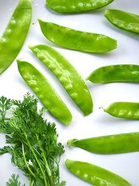 High angle view of chili pepper over green background
