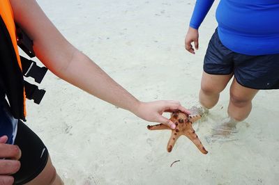 Cropped image of woman holding starfish at beach