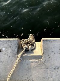 High angle view of lizard on wall