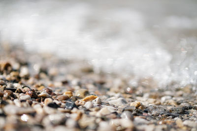 Close-up of stones on beach