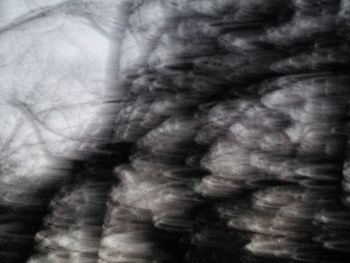 Low angle view of tree against sky