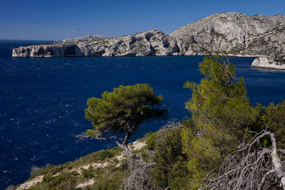 Scenic view of sea against clear blue sky