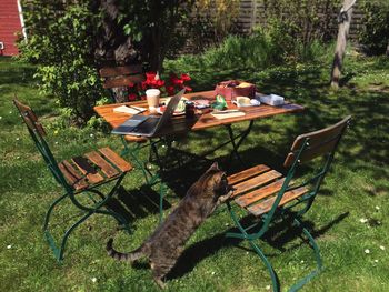 Dining chairs and table at lawn