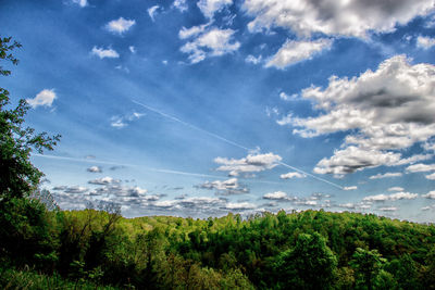 Trees on landscape against cloudy sky