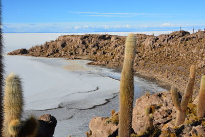 Panoramic shot of rocks on beach against sky