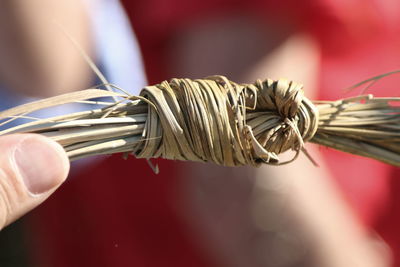 Cropped image of hand holding tied straw