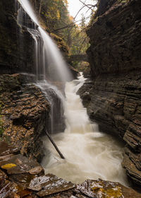 Scenic view of waterfall in forest