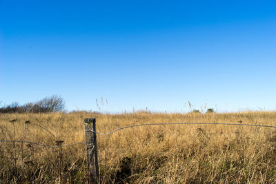 Scenic view of field against clear blue sky