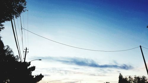 Low angle view of trees against blue sky