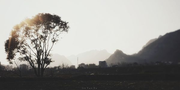 Scenic view of field against clear sky