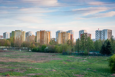 Trees growing on field against buildings in city