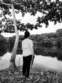 tree