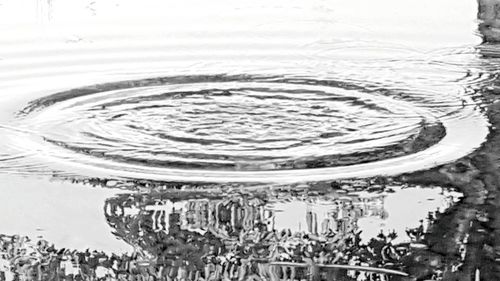 Close-up of wine glass on table