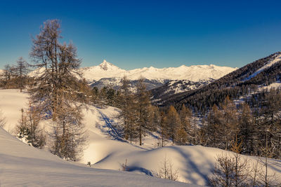 Ski touring in queyras, hautes alpes, france