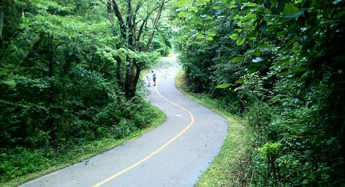 Road amidst trees in forest