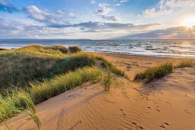 Scenic view of beach against cloudy sky