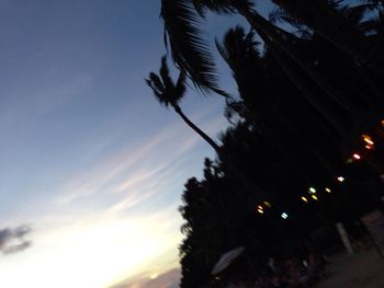 Low angle view of palm trees against sky