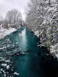 Emerald river against snowy sky and trees during an oregon winter