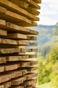 Close-up of stack of tree