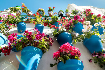 Close-up of potted plants against blue sky