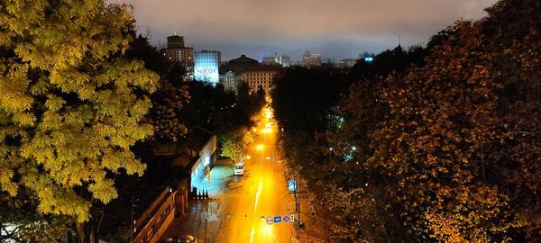 night