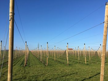 Fence on field against clear sky