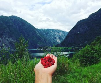 Low section of person holding fruit on field against mountains