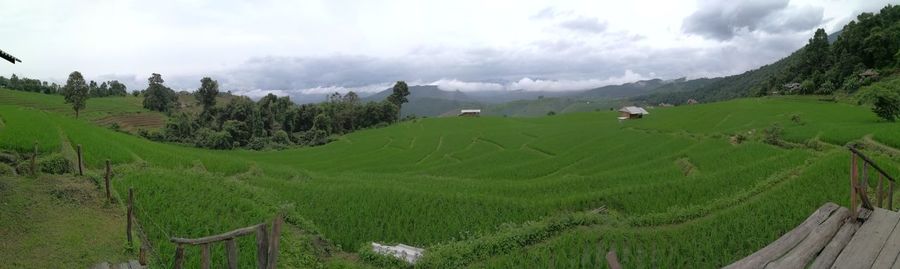 Panoramic view of agricultural field against sky